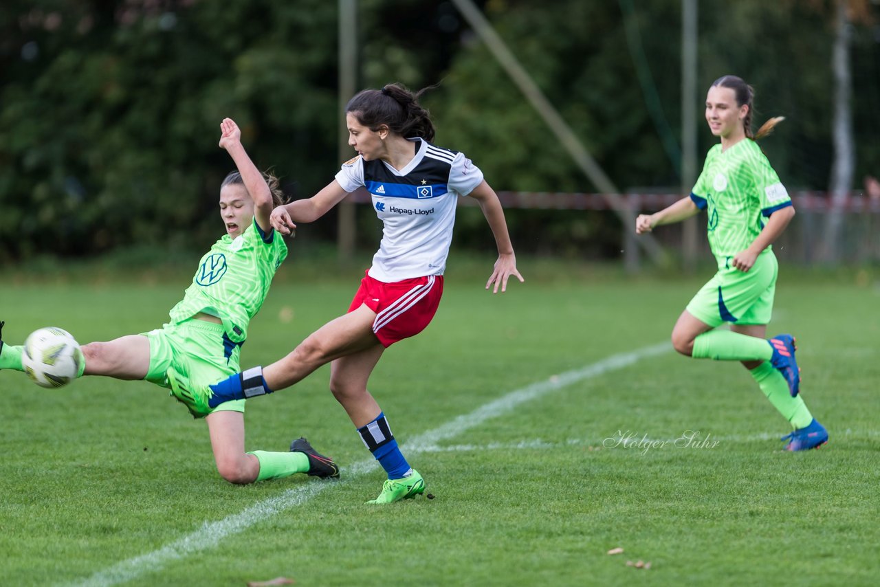 Bild 195 - wBK Hamburger SV - VfL Wolfsburg : Ergebnis: 0:5